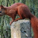 1609F 145 Spree und Havel